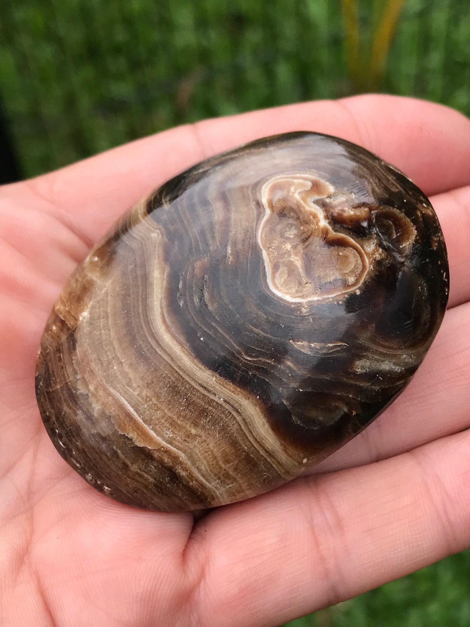 Chocolate Calcite Palmstone