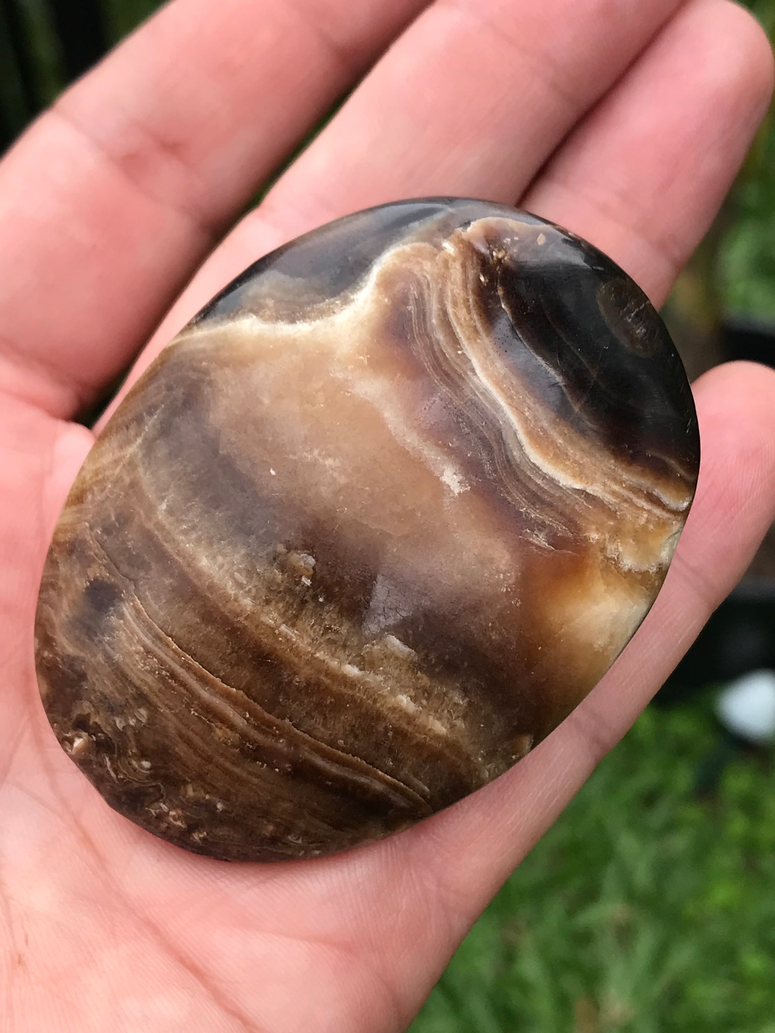 Chocolate Calcite Palmstone