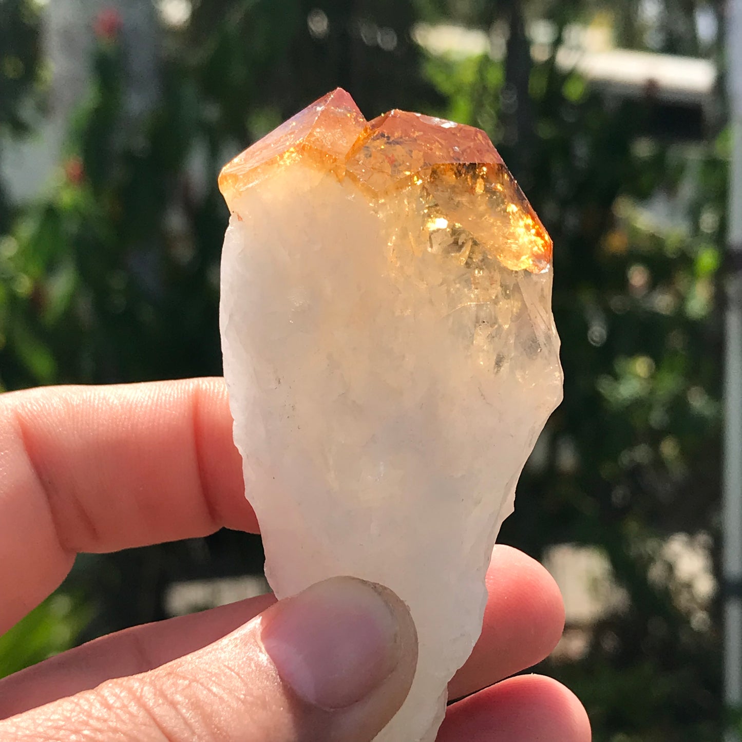 Citrine point