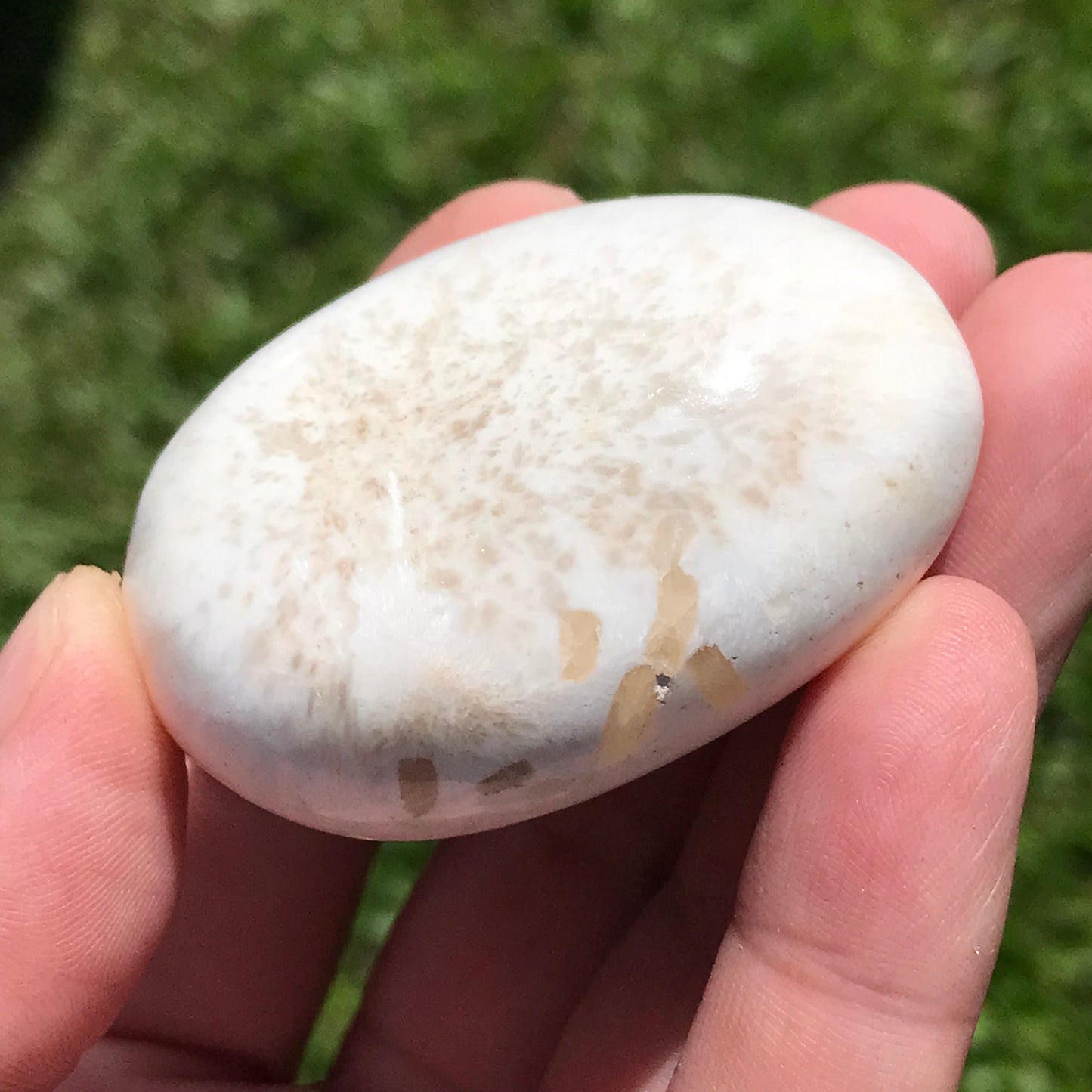 Scolecite Palmstone