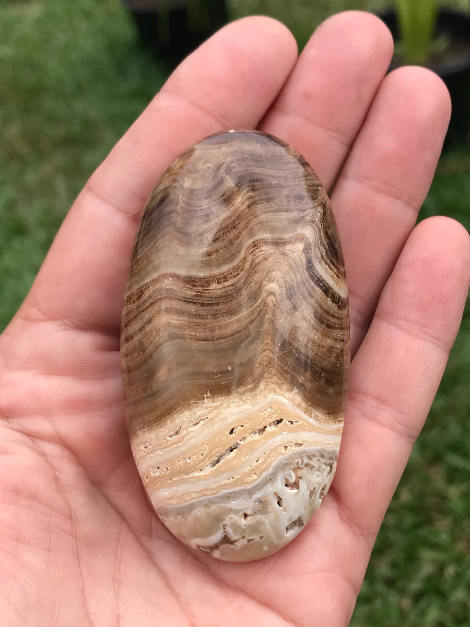 Chocolate Calcite Palmstone