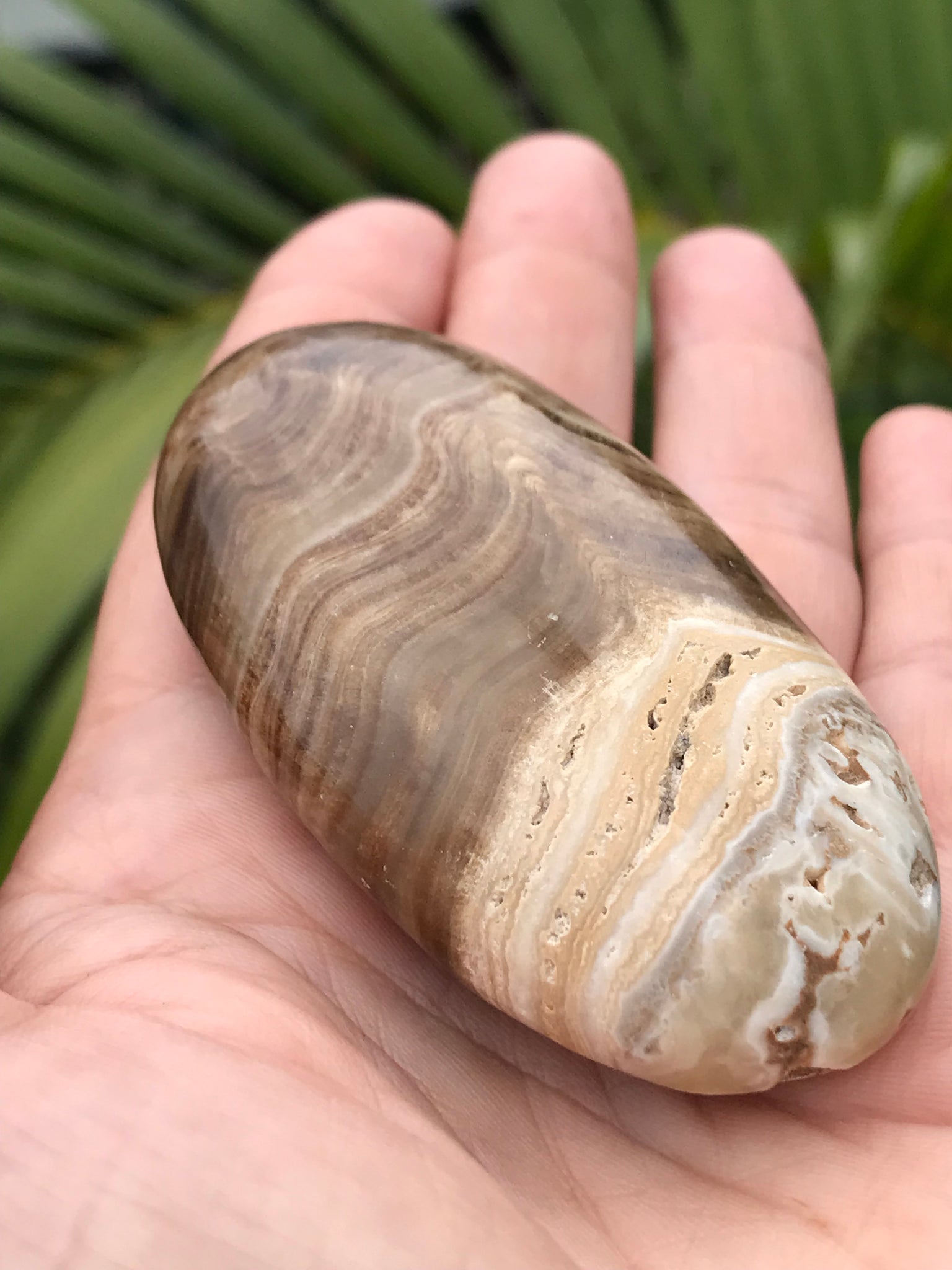 Chocolate Calcite Palmstone