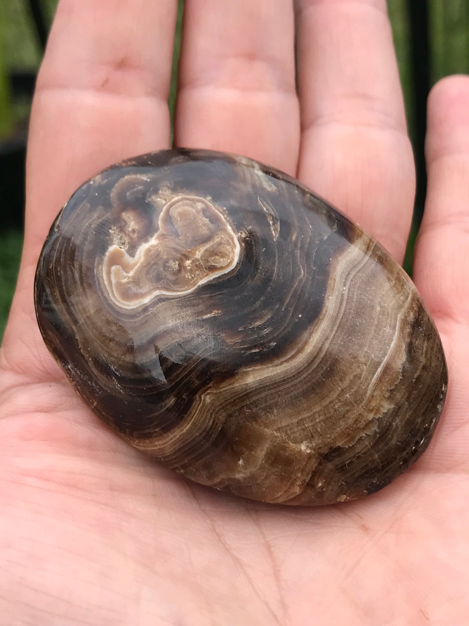 Chocolate Calcite Palmstone