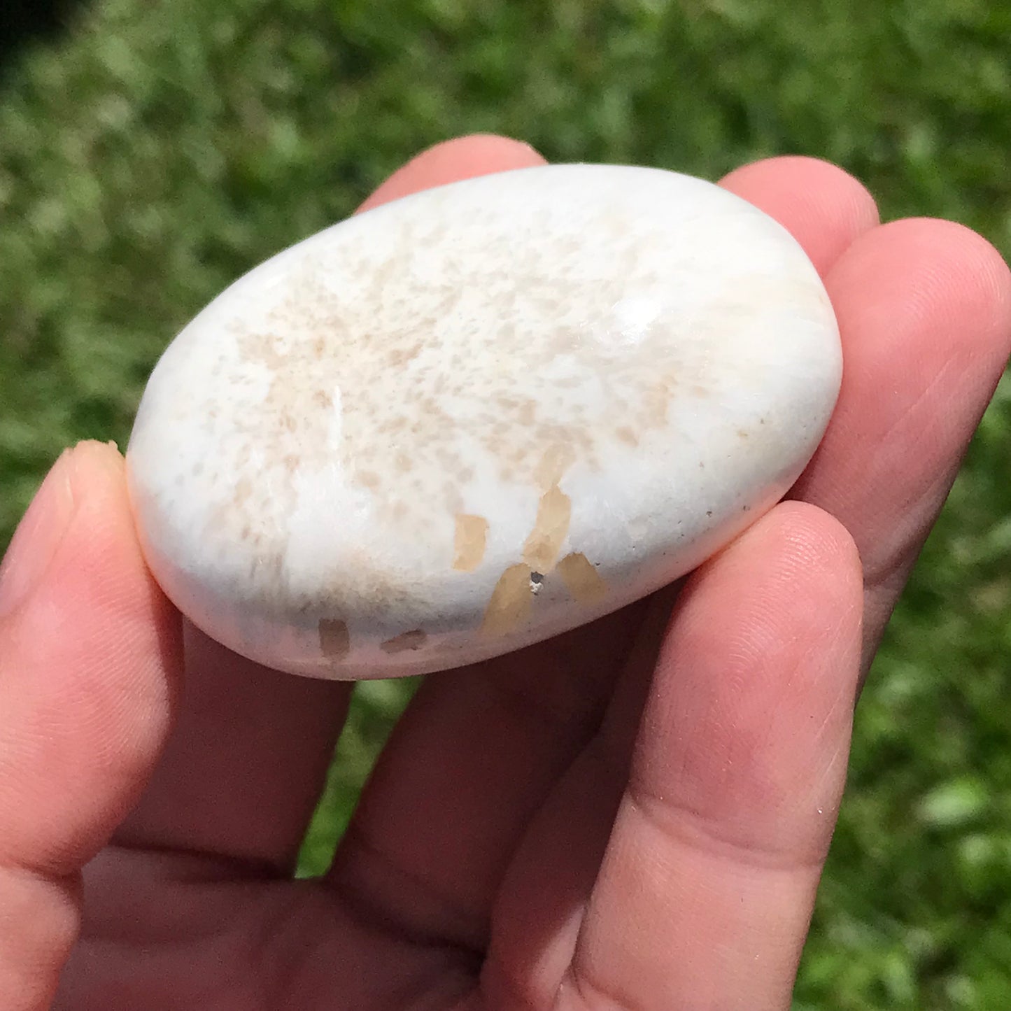 Scolecite Palmstone