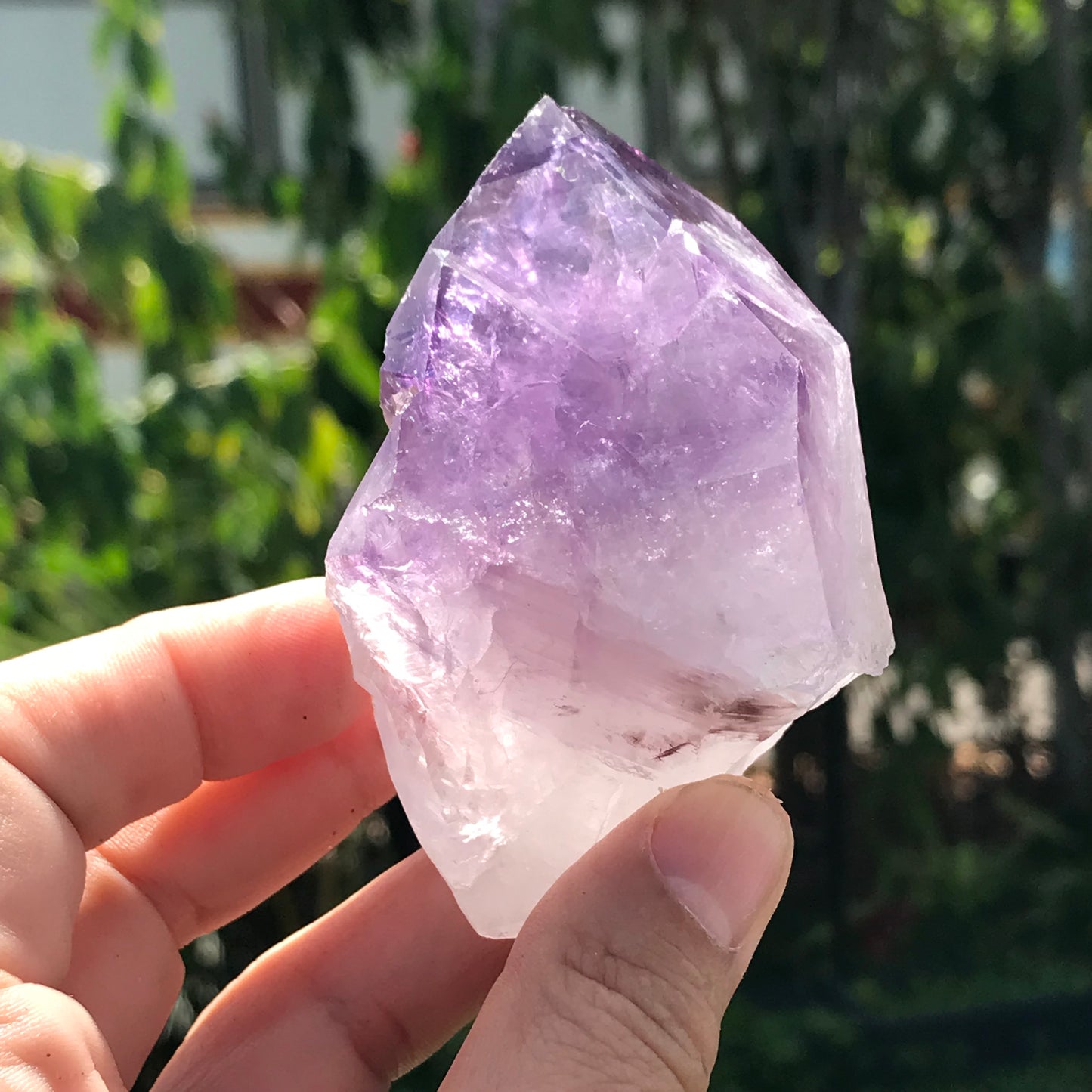 Large Rough Amethyst point
