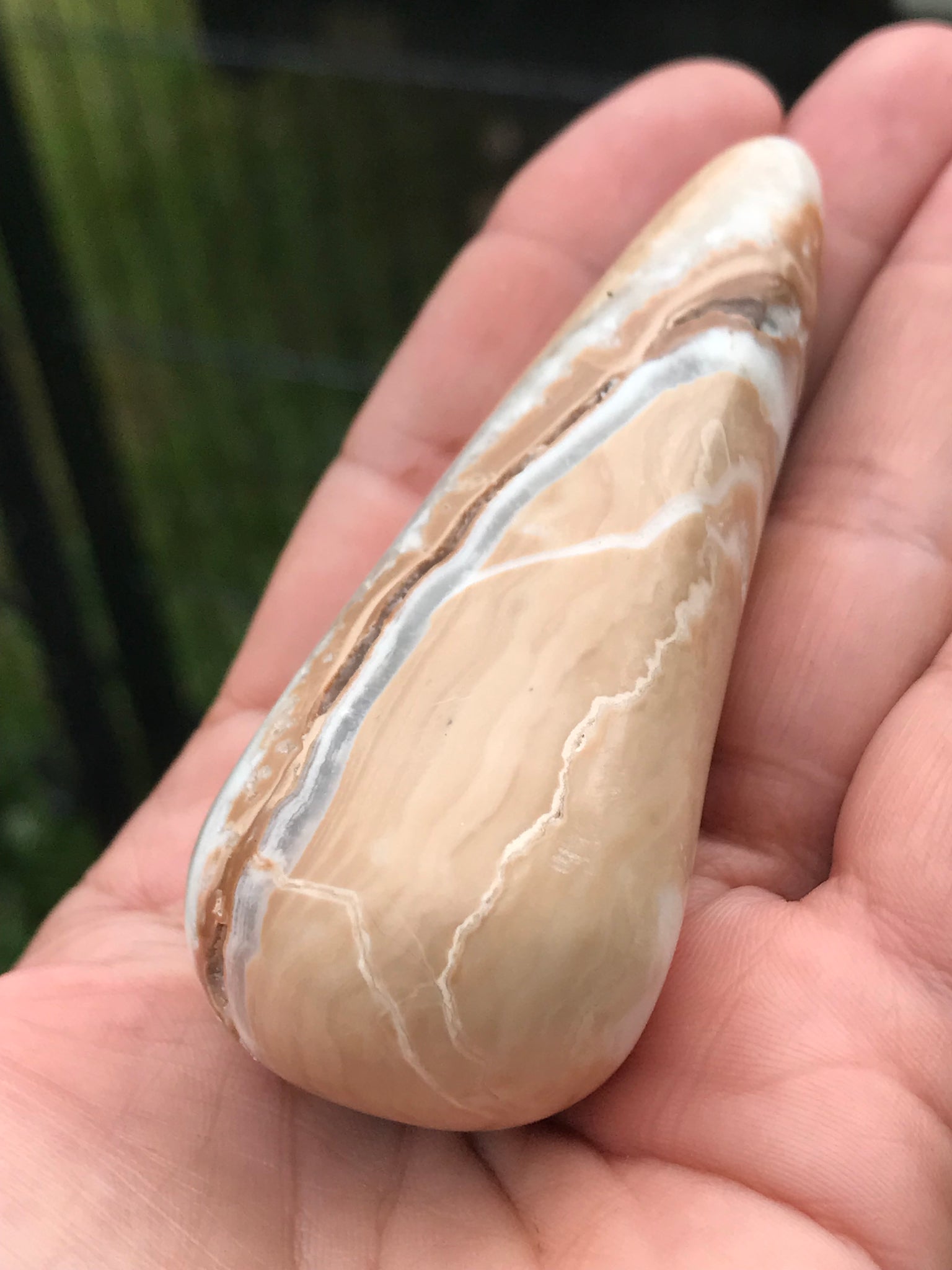 Carribean Calcite Freeform