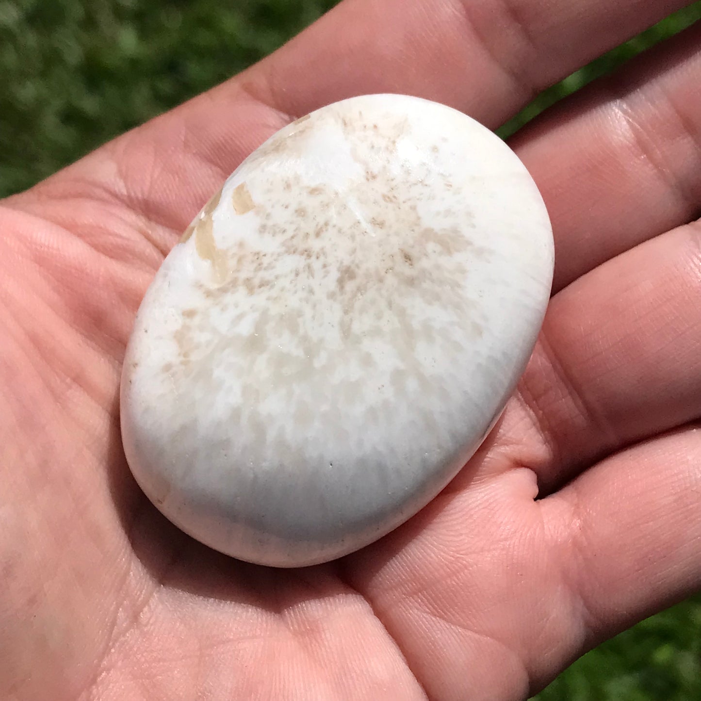 Scolecite Palmstone