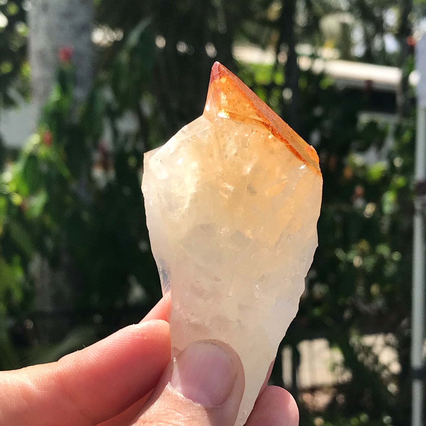 Citrine point