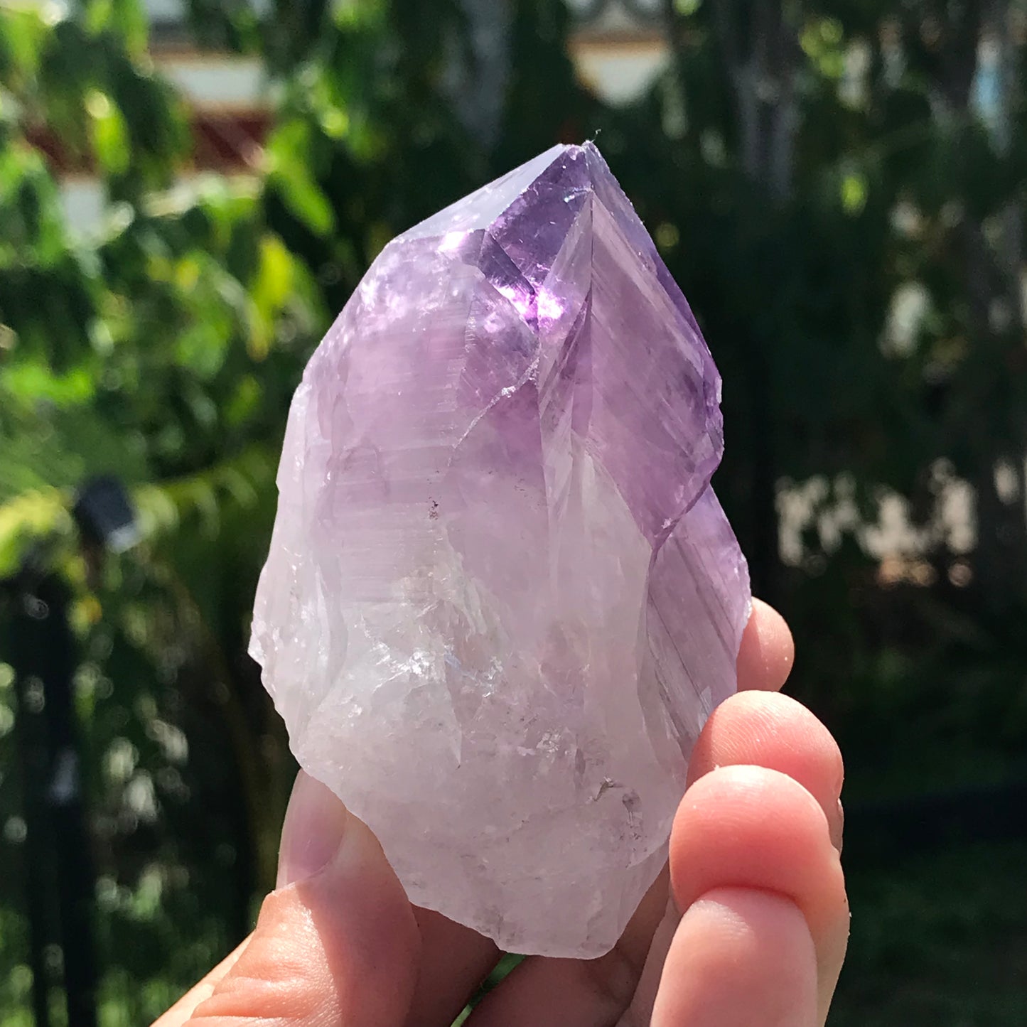Large Rough Amethyst point
