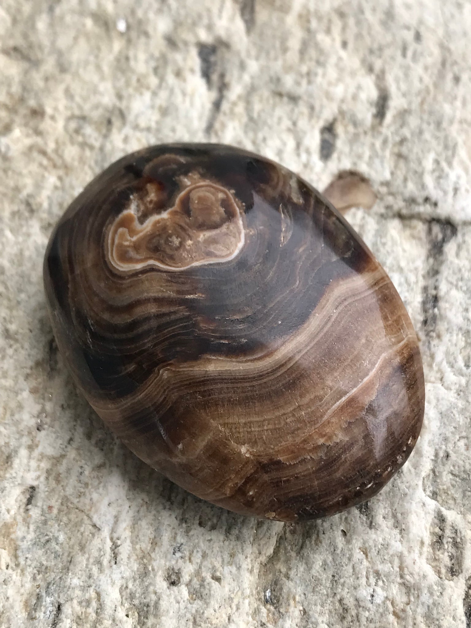 Chocolate Calcite Palmstone